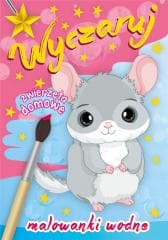 Wyczaruj zwierzęta domowe. Malowanki wodne - Praca zbiorowa