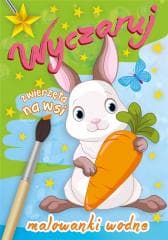 Wyczaruj zwierzęta na wsi. Malowanki wodne - Praca zbiorowa