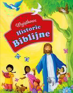 Wyjątkowe historie biblijne - Dawn Mueller