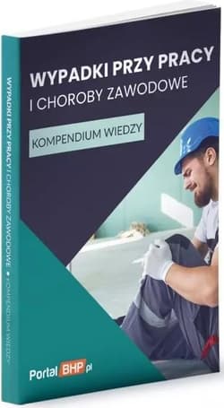 Wypadki przy pracy i choroby zawodowe - Praca zbiorowa