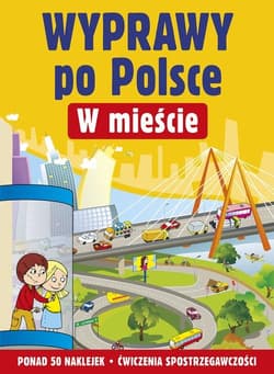 Wyprawy po Polsce. W mieście - Ludwik Cichy