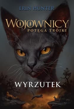 Wyrzutek Wojownicy Potęga trójki Tom 3