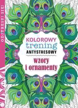 Wzory i ornamenty. Kolorowy trening antystresowy