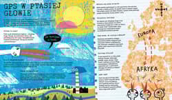 Galeria - zdjęcie nr. 2 - Wzrok słuch smak dają znak czyli podróż do świata zmysłów