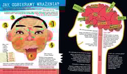 Galeria - zdjęcie nr. 5 - Wzrok słuch smak dają znak czyli podróż do świata zmysłów