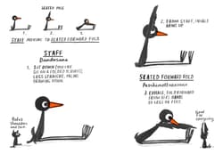 Galeria - zdjęcie nr. 3 - Yoga for Stiff Birds wer. angielska