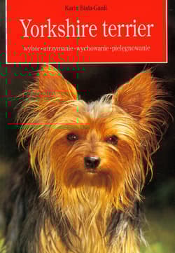 Yorkshire terrier wybór, utrzymanie, wychowanie, pielęgnowanie