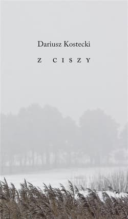 Z ciszy - Dariusz Kostecki
