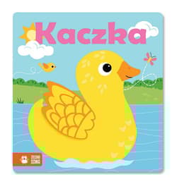 Z książką w kąpieli Kaczka