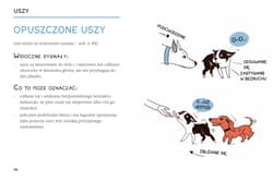 Galeria - zdjęcie nr. 4 - Z psiego na nasze Czyli jak odczytywać sygnały, które dają nam psy