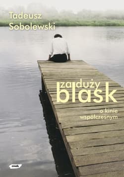 Za duży blask. O kinie współczesnym - Tadeusz Sobolewski