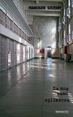 Za mną same zgliszcza - Franciszek Szczęsny