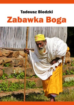 Zabawka Boga - ebook - Tadeusz Biedzki