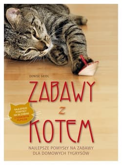 Zabawy z kotem. Najlepsze pomysły na zabawy dla domowych tygrysów