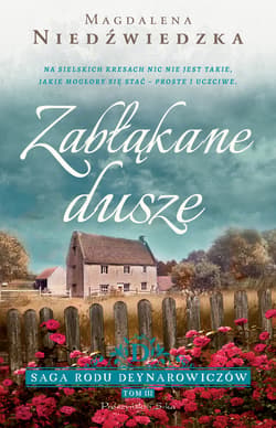 Zabłąkane dusze - ebook - Magdalena Niedźwiedzka