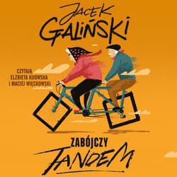 Zabójczy tandem - audiobook