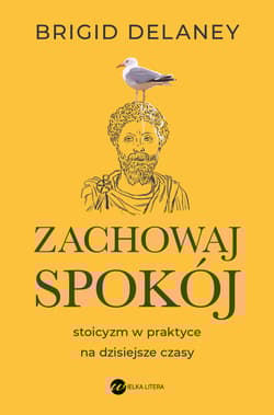 Zachowaj spokój Stoicyzm w praktyce na dzisiejsze czasy - Brigid Delaney