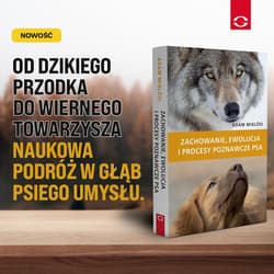 Galeria - zdjęcie nr. 4 - Zachowanie, ewolucja i procesy poznawcze psa