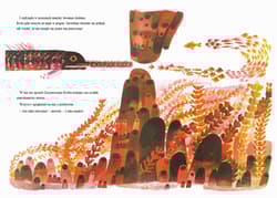 Galeria - zdjęcie nr. 2 - Zaczarowana Rybka