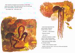 Galeria - zdjęcie nr. 3 - Zaczarowana Rybka