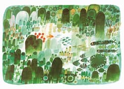 Galeria - zdjęcie nr. 4 - Zaczarowana Rybka