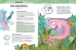 Galeria - zdjęcie nr. 3 - Zadziwiające zwierzęta świata Atlas bioróżnorodności