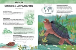 Galeria - zdjęcie nr. 2 - Zadziwiające zwierzęta świata Atlas bioróżnorodności
