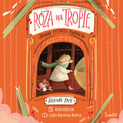 Zagadka ekspresu polarnego. Róża na tropie. Tom 1 - audiobook