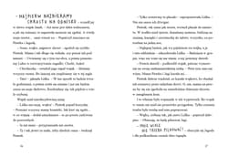 Galeria - zdjęcie nr. 3 - Zagadka upiornego lasu Detektywi z Tajemniczej 5 kontra duchy