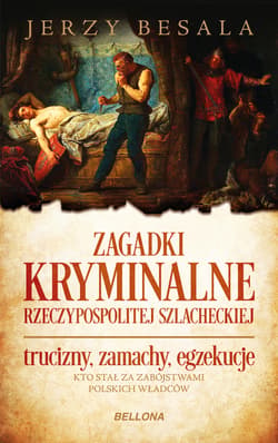 Zagadki kryminalne Rzeczypospolitej szlacheckiej - ebook - Jerzy Besala