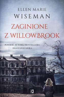 Zaginione z Willowbrook - ebook - Ellen Marie Wiseman