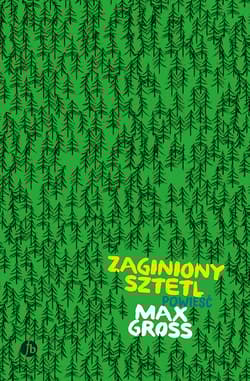 Zaginiony sztetl - Max Gross