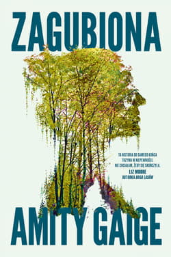 Zagubiona - Amity Gaige
