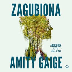 Zagubiona - audiobook - Amity Gaige