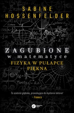 Zagubione w matematyce - ebook