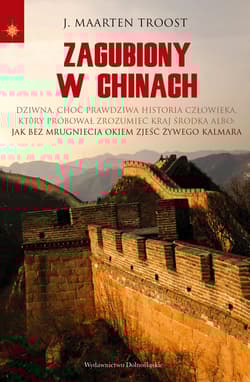 Zagubiony w Chinach