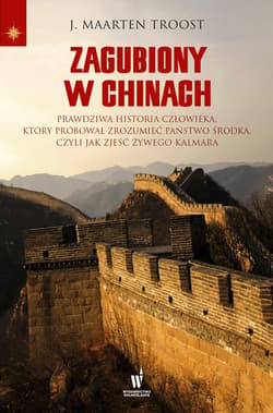 Zagubiony w Chinach - ebook - Troost J. Maarten