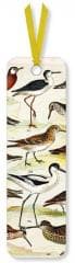 Zakładka do książki English Wading Birds