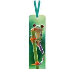 Zakładka do książki Red Eyed Frog