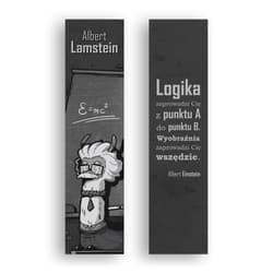 Zakładka kartonowa - Logika