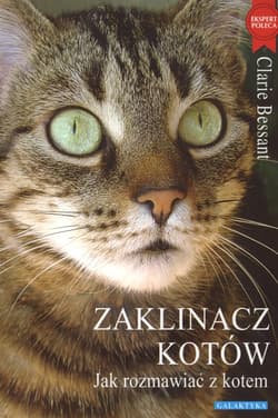 Zaklinacz kotów Jak rozmawiac z kotem - Claire Bessant