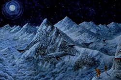 Galeria - zdjęcie nr. 4 - Zaklinacz tygrysów