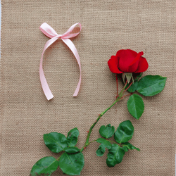 Galeria - zdjęcie nr. 5 - Zakorzeniona nadzieja. Jak nie dałam się pokonać rakowi