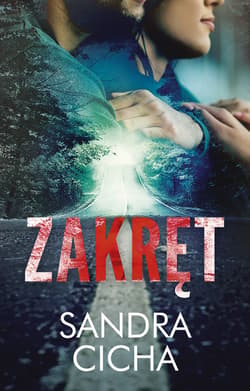 Zakręt - ebook - Sandra Cicha