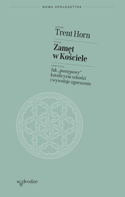Zamęt w Kościele. Jak „postępowy” katolicyzm szkodzi i wywołuje zgorszenie - ebook
