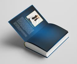 Galeria - zdjęcie nr. 3 - Zamieć