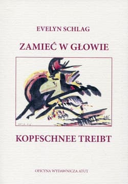 Zamieć w głowie - Evelyn Schlag
