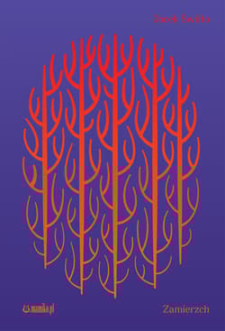 Zamierzch - Jacek Świłło