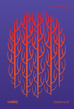 Zamierzch - Jacek Świłło