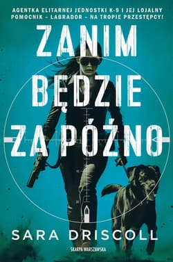 Zanim będzie za późno - ebook - Sara Driscoll